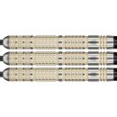 3er Set Steeldarts Target Dimitri van den Bergh 95K