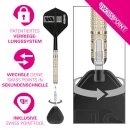 3er Set Steeldarts Target Dimitri van den Bergh 95K