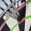 3er Set Steeldarts Bulls Brutus Magnus