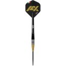3er Set Steeldarts Bulls Massimo Dalla-Rosa