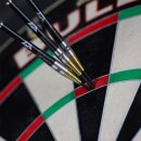3er Set Steeldarts Bulls Massimo Dalla-Rosa