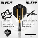 3er Set Steeldarts Winmau Team 360 Jack Nankervis