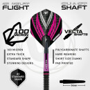 3er Set Steeldarts Winmau Team 360 Rebecca Allen