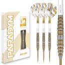 3er Set Steeldarts Red Dragon Paradym Gold & Silver Torpedo