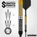 3er Set Steeldarts Winmau Exion Parallel Switch Point 24 g
