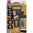 3er Set Steeldarts Target Bolide Envy 03