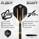 3er Set Steeldarts Winmau Team 360 Bradley van der Velden