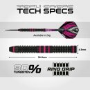 3er Set Steeldarts Winmau Team 360 Bradley van der Velden