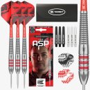 3er Set Steeldarts Target Nathan Aspinall "The ASP" Brass