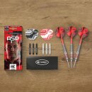 3er Set Steeldarts Target Nathan Aspinall "The ASP" Brass