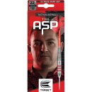 3er Set Steeldarts Target Nathan Aspinall "The ASP" Brass