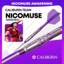 3er Set Steeldarts Caliburn Awakening Nicomuse