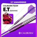 3er Set Steeldarts Caliburn Awakening E.T