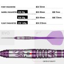 3er Set Steeldarts Caliburn Awakening Rainie