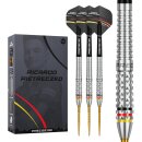 3er Set Steeldarts Precise 180 Ricardo Pietreczko G1