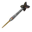 3er Set Steeldarts Precise 180 Ricardo Pietreczko G1