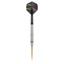 3er Set Steeldarts Precise 180 Ricardo Pietreczko G1