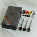 3er Set Steeldarts Precise 180 Ricardo Pietreczko G1