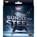 Bulls Bundle of Steel
