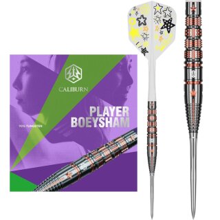 3er Set Steeldarts Caliburn Players Boey Sham