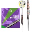 3er Set Steeldarts Caliburn Players Boey Sham