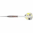 3er Set Steeldarts Caliburn Players Boey Sham