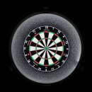 Precise180 Dartboard Surround Endorphine Pro