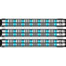 3er Set Softdarts Bulls Nicolas Thuillier