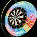 Precise180 Dartboard Surround Polychrome
