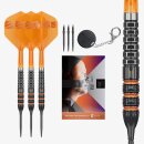 Target Raymond van Barneveld 95K SP Steeldarts 3er Set