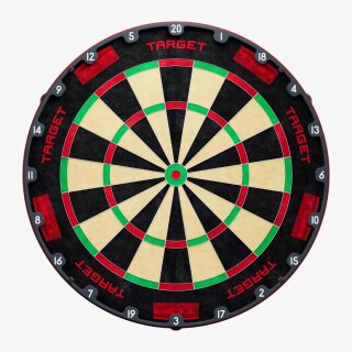Steeldartboard Target Tor Evo