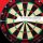 Steeldartboard Target Tor Evo