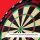 Steeldartboard Target Tor Evo