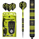 3er Set Steeldarts Winmau MvG Ambition 24 g