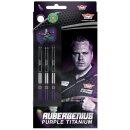 3er Set Steeldarts Bulls Dirk van Duijvenbode Aubergenius 24 g