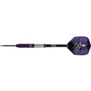 3er Set Steeldarts Bulls Dirk van Duijvenbode Aubergenius 22 g