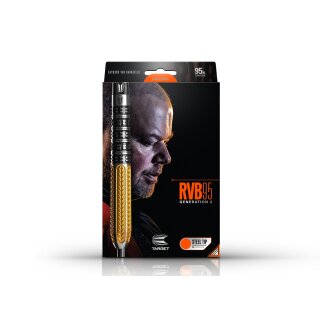 3er Set Steeldarts Target Raymond Van Barneveld Gen 2 21 g