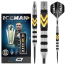 3er Set Steeldarts Red Dragon Gerwyn Thunder SE 25 g