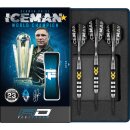 3er Set Steeldarts Red Dragon Gerwyn Thunder SE 25 g