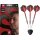 3er Set Steeldarts Target Nathan Aspinall G2 The ASP