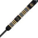 3er Set Steeldarts Winmau MvG Trilogy 23 g