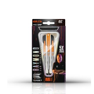 3er Set Steeldarts Target Raymond van Barneveld RVB80 25 g