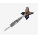 3er Set Steeldarts Target Raymond van Barneveld Barney 25 SP