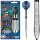 3er Set Steeldarts Shot Birds of Prey Kestrel