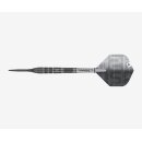 3er Set Steeldarts Target Nathan Aspinall The ASP Echo (SP) 23 g