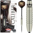 3er Set Steeldarts Bulls Caliber Smooth 25 g
