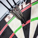 3er Set Steeldarts Bulls Caliber Smooth 25 g