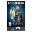 3er Set Steeldarts Red Dragon Gerwyn Price Firebird