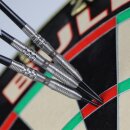 3er Set Steeldarts Bulls Eagle 3