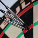 3er Set Steeldarts Bulls Dirk van Duijvenbode 24 g